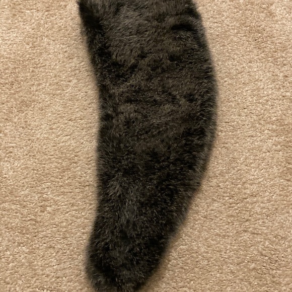 Faux Fur Banana Republic Scarf - Picture 8 of 10